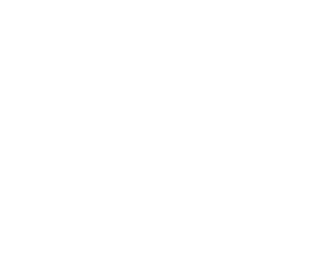 GOORIN-BROS-WHITE500